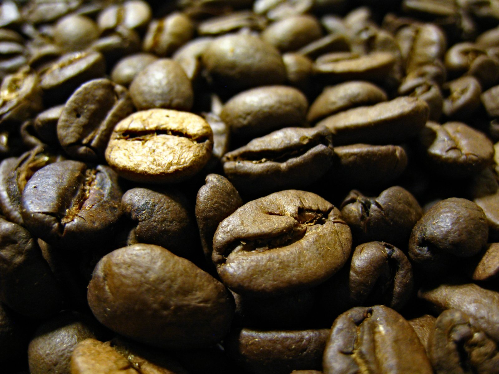 Close-up of roasted coffee beans